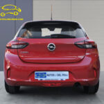 CORSA BURDEOS 03