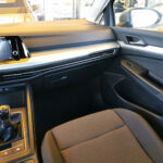 GOLF VIII PVC TAPACUBOS RADIO 10