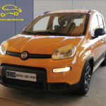 PANDA NARANJA 01