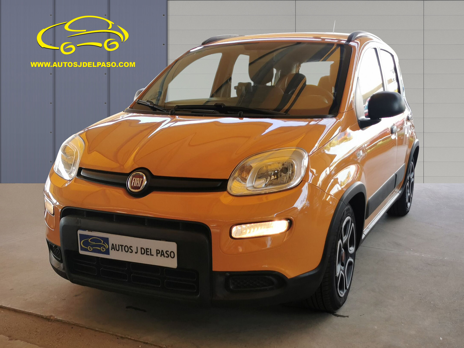 PANDA NARANJA 01