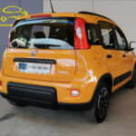 PANDA NARANJA 04