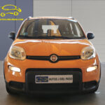 PANDA NARANJA 05